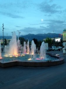 IMG_1139