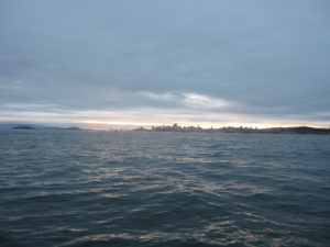 Open Water