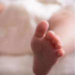 foot