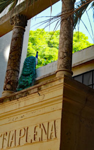 Spainish courtyard with a peacock